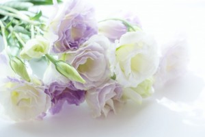 お花の名前を韓国語で覚えよう 生け花 フラワーアレンジメント 湘南フラワーコーディネート